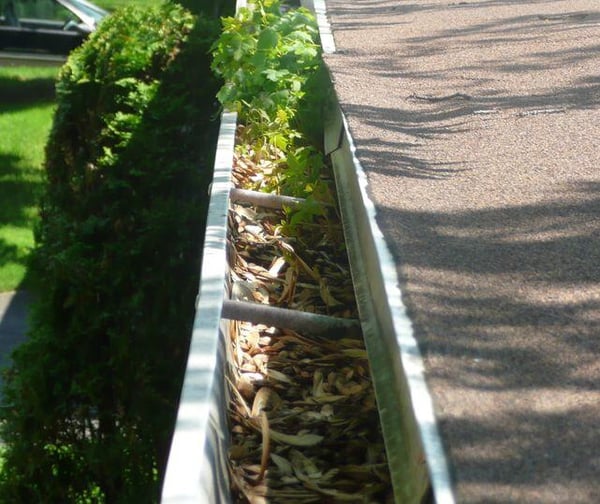 Clogged gutter installed with standard hangers