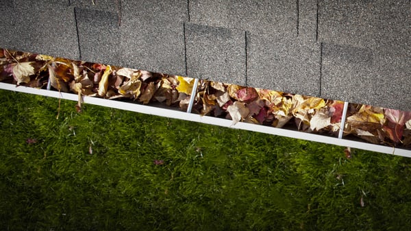 Gutter filled with leaves