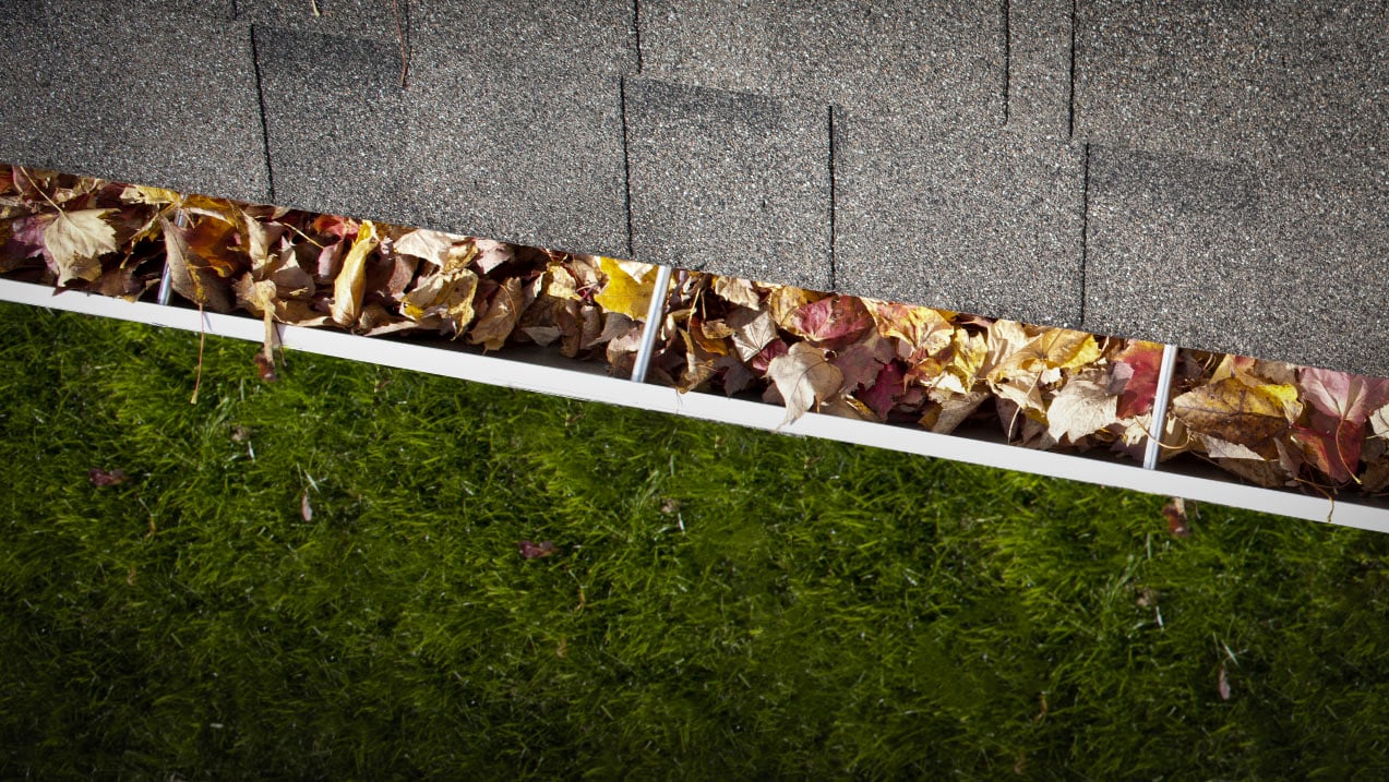 Gutter filled with leaves