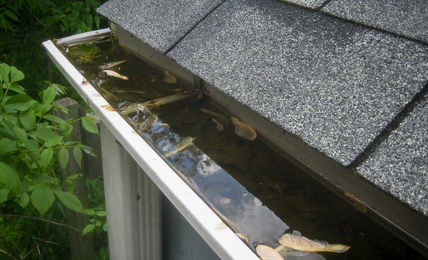 Gutter with standard hooks