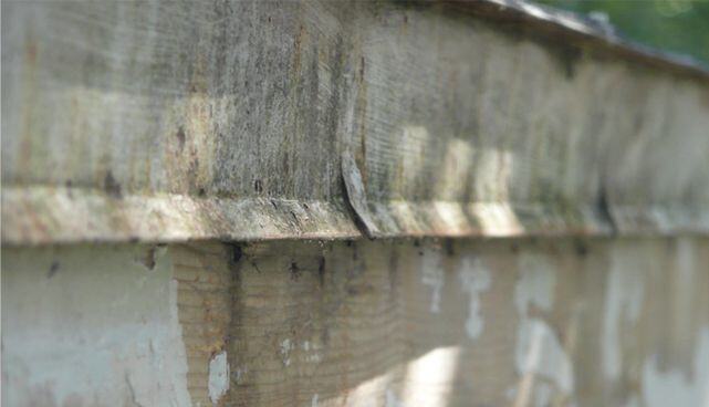 rotted-fascia